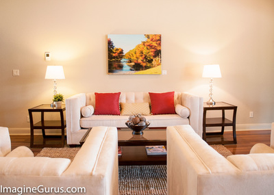 interior design home staging living room